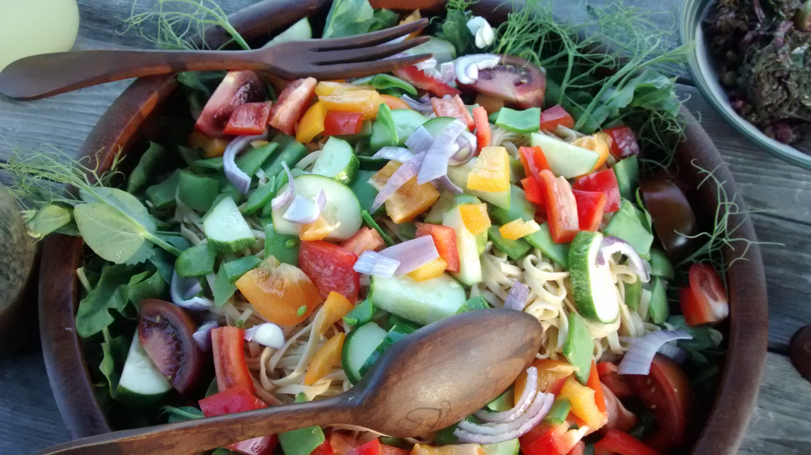 Host David in Maine made this gorgeous salad from his own organic garden